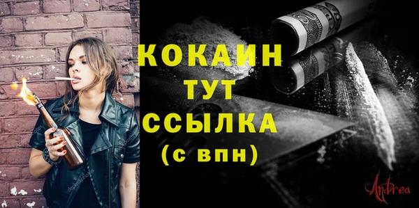 твердый Слюдянка