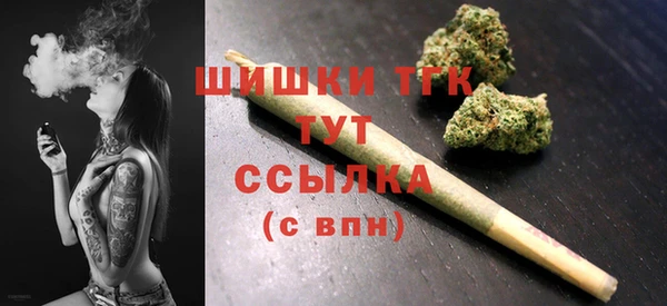 спиды Снежногорск