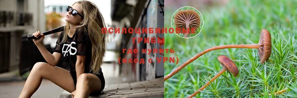спиды Снежногорск