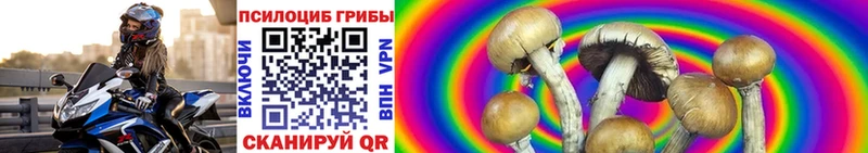 Галлюциногенные грибы GOLDEN TEACHER Валуйки