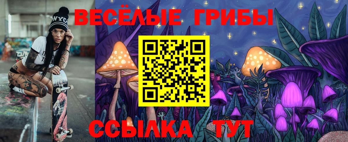 Псилоцибиновые грибы прущие грибы  Вход с VPN  Валуйки  Псилоцибиновые грибы Psilocybine cubensis 