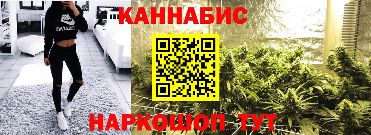 Канабис сатива Валуйки